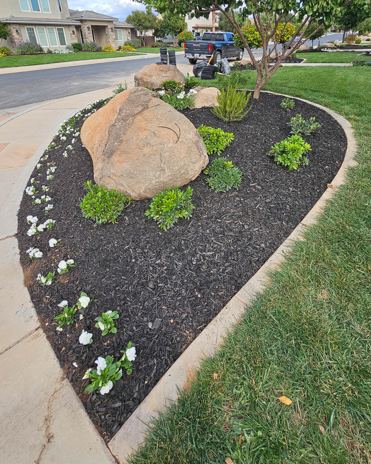 Curved front yard planter bed with boulder and flowers
