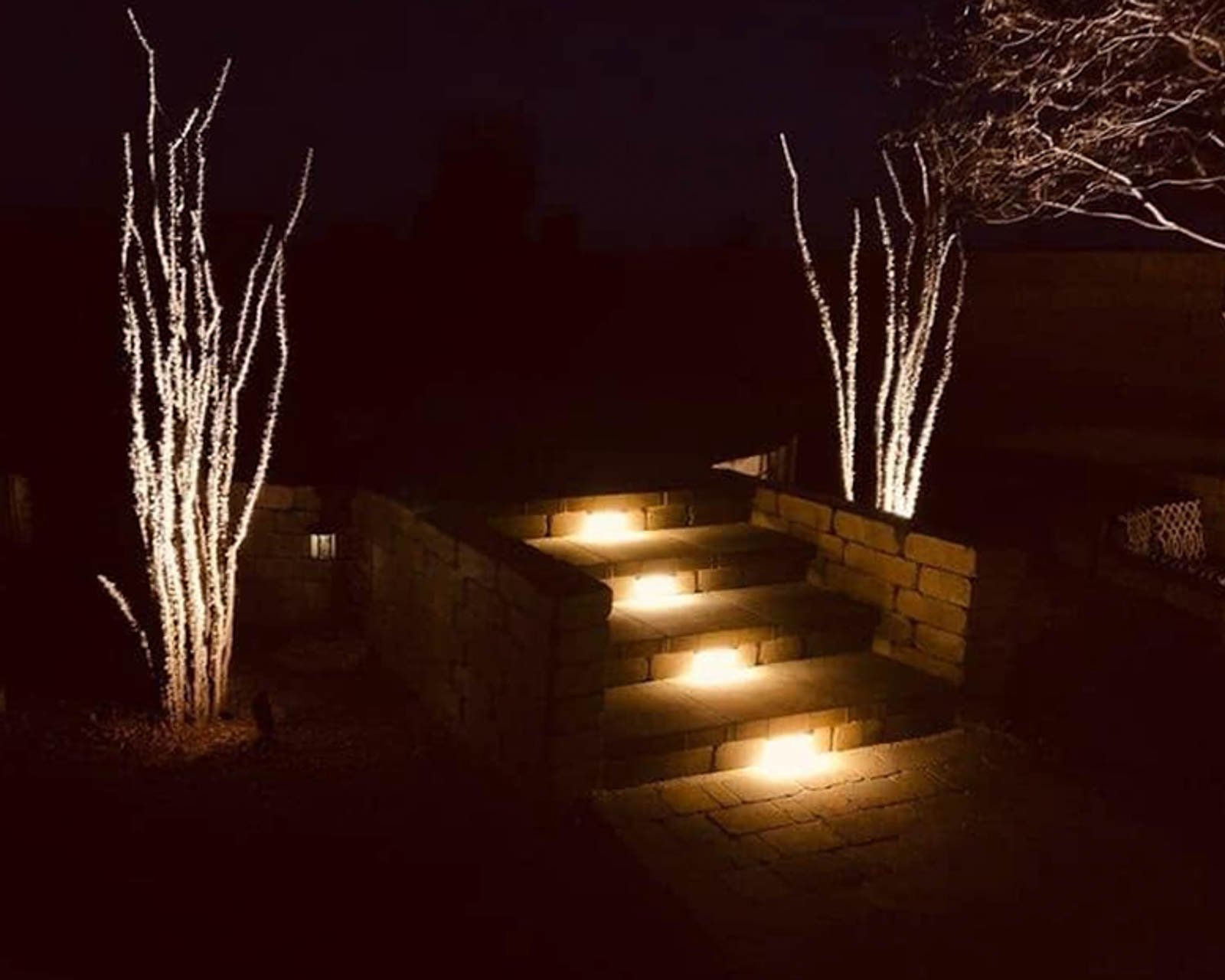 Lit stone steps and uplit trees at night